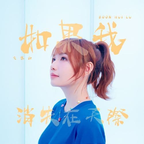 如果我消失在天際