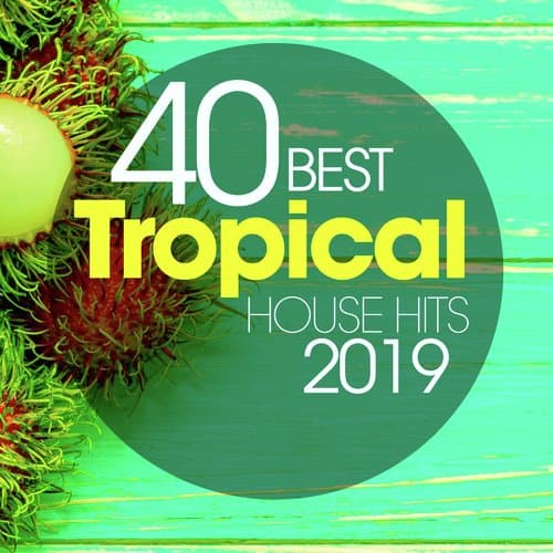 What Is Love 2016 (Extended)