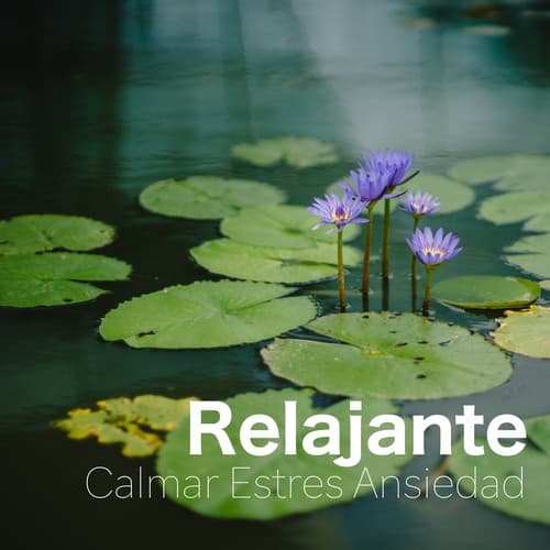 Musica Relajante para Meditación Profunda