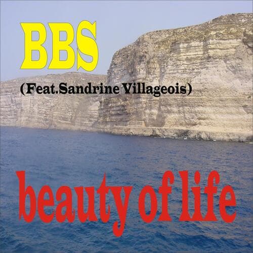 Beauty of Life (feat. Sandrine villageois) (No Vox Extended)