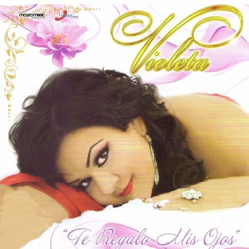 Mi Error Mi Fantasía