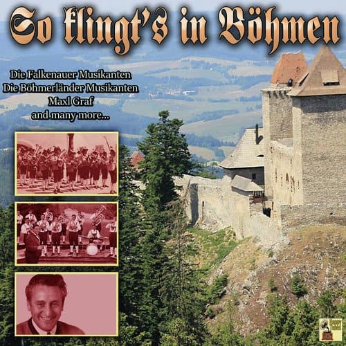 Herz - Schmerz - Polka