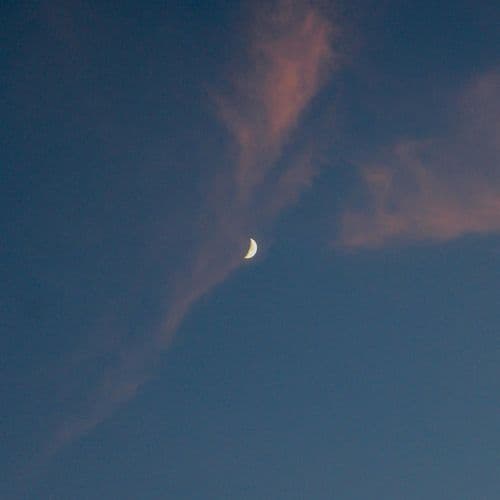 朧月夜 - 高音質ハーモニカ