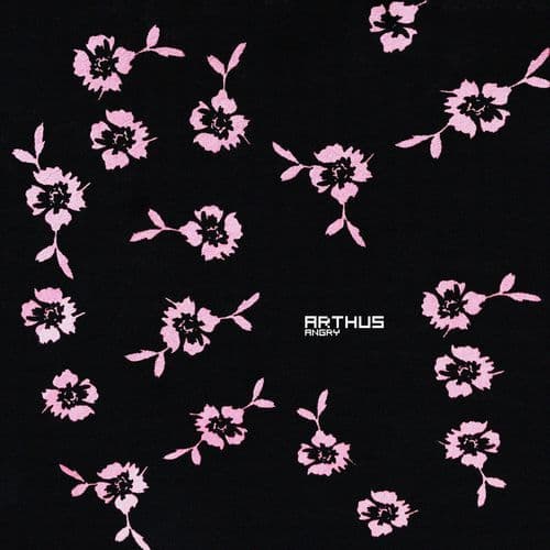 Angry (Beckhäuser Remix)