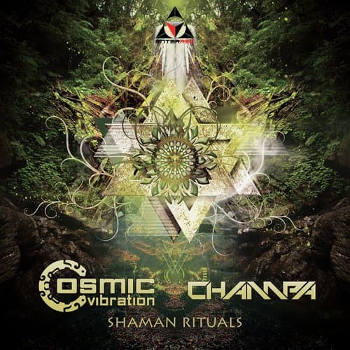 Shaman Rituals (Original Mix)