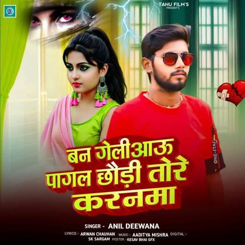 Ban geliyau pagal chori tore karnma