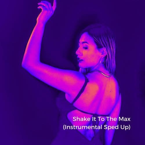 Shake It To The Max (Instrumental Sped Up)