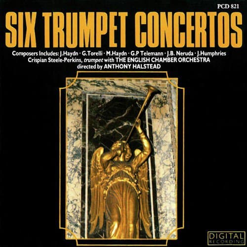 Concerto in D Major for Trumpet: III. Vivace