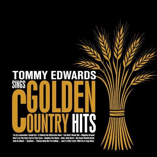 Don't Let the Stars Get in Your Eyes