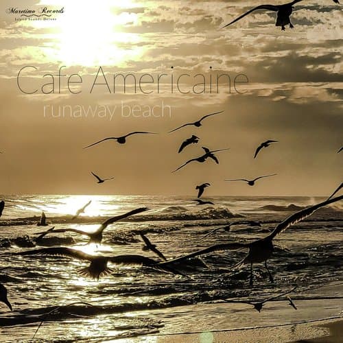 runaway beach (seagull mix)