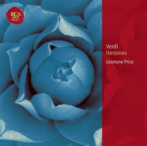 Ernani: Ernani! Ernani, involami